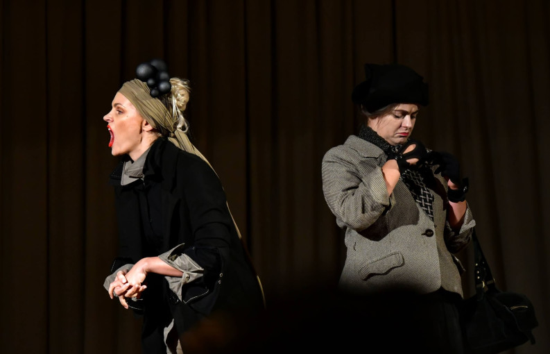 Renginio nuotrauka, Klaipėdos pilies teatras. „Dvi poniutės į Šiaurės pusę"