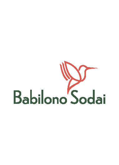 Babilono sodai