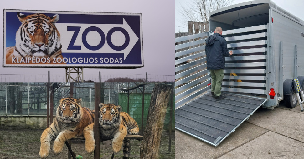 Baigtas Klaipėdos zoologijos sodo patikrinimas: rezultatai ir nustatyti pažeidimai