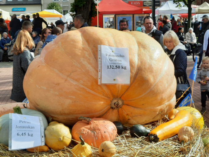 Šeštadienį Kretingoje šurmuliavo Rudens derliaus ir moliūgo šventė