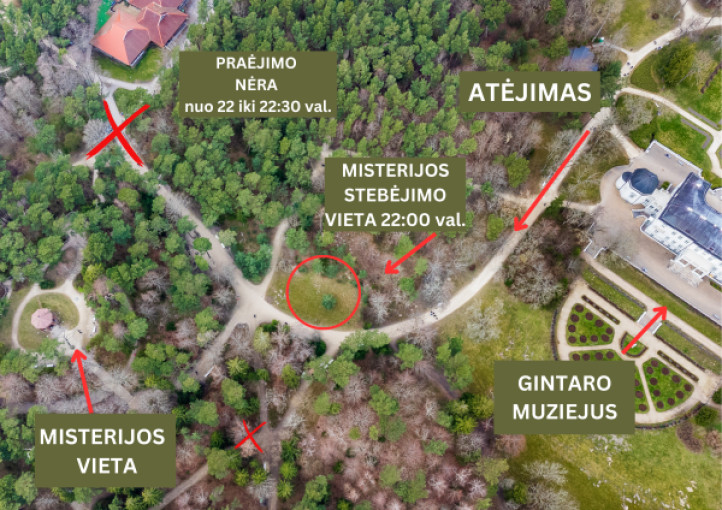 Palangos Jurginių festivalio dalis - įspūdinga teatralizuota šviesų misterija „Yr didis kalnas“