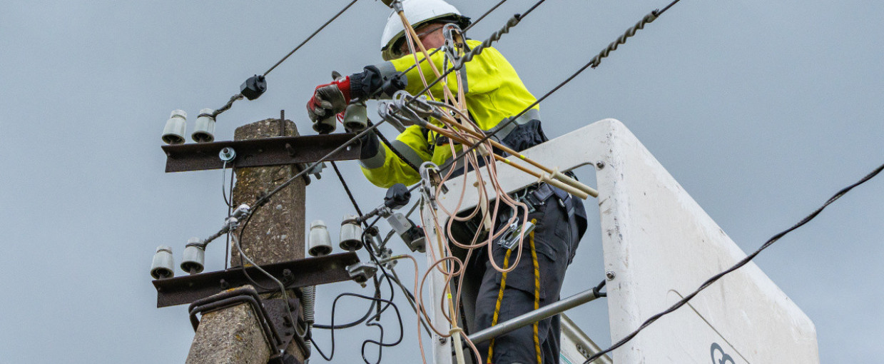 Rugsėjo 1-ąją ESO planinių darbų nevykdys – elektros energija bus tiekiama įprastai
