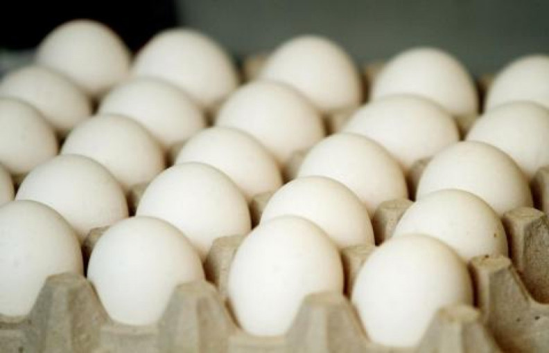 UAB „Lidl Lietuva“ pardavinėjo Salmonella bakterijomis užkrėstus kiaušinius