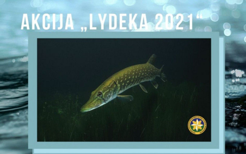 Akcijos „Lydeka“ metu Klaipėdos valdyboje nustatyti 98 pažeidimai, 6 iš jų šiurkštūs