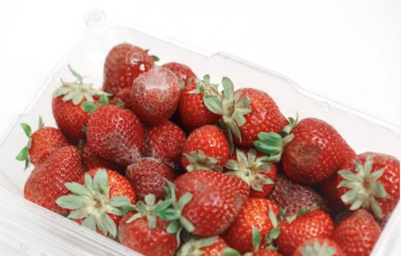 Kaip turėtume elgtis, pastebėję, jog įsigijome nekokybišką maisto produktą