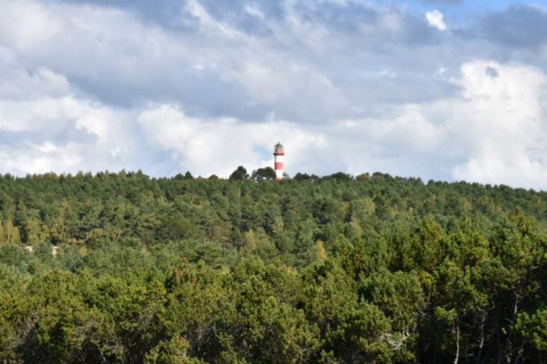 Prasidėjo Kuršių Nerijos Urbo kalno tvarkymo darbai
