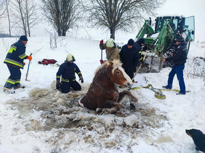 Plungėje ugniagesiai stojo į kovą su laiku ir šalčiu – iš eketės išgelbėtas arklys