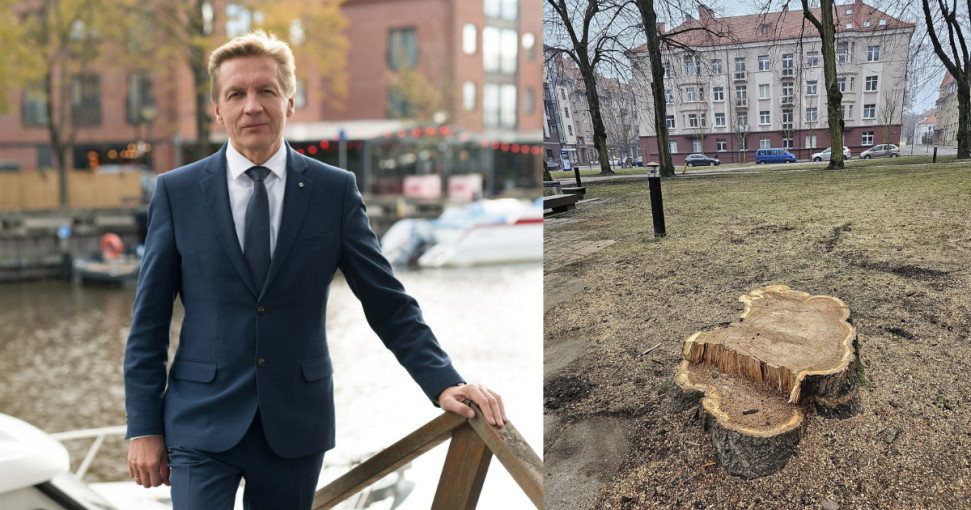 Arvydas Vaitkus: nedaviau teisės iškirsti 7 medžių