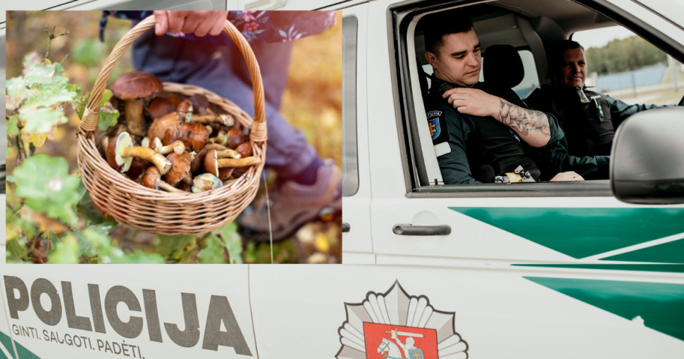 Lietuvos policija pataria, ką verta žinoti prieš einant į mišką grybauti