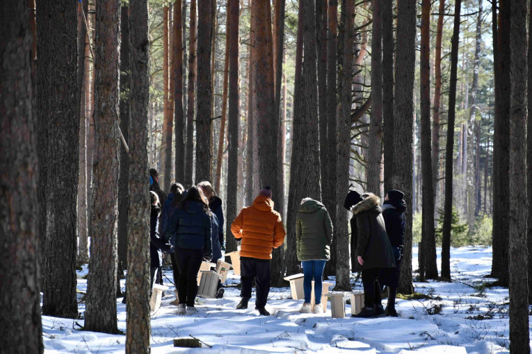 Paukščiai grįžta namo – sparnuotų giesmininkų sutiktuvės visoje Lietuvoje