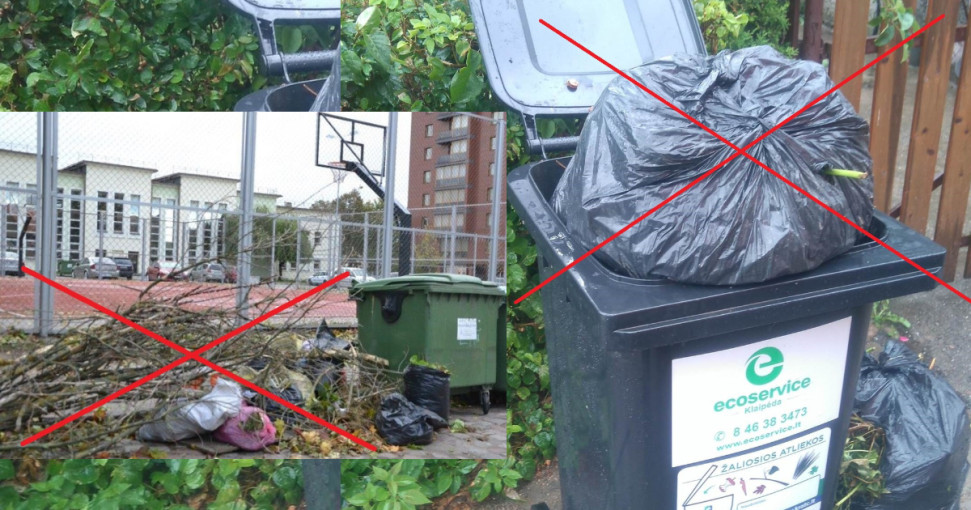 Žaliųjų atliekų sezonas prasidėjo: ką verta žinoti?