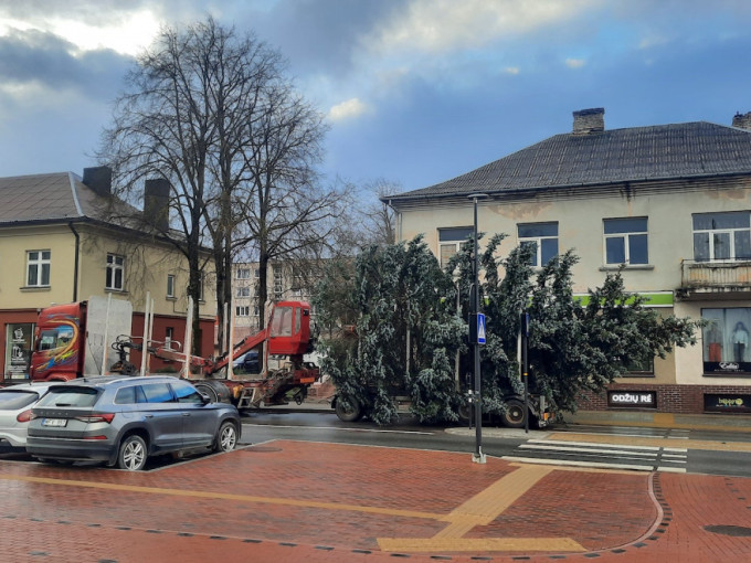 Į Kretingos Rotušės aikštę atkeliavo Kalėdų eglė