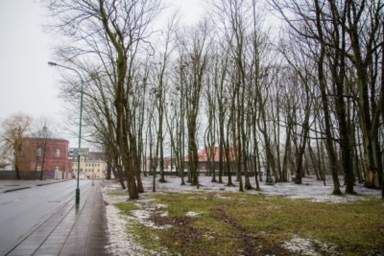 Paskelbtas konkursas Skulptūrų parko sutvarkymo darbams atlikti