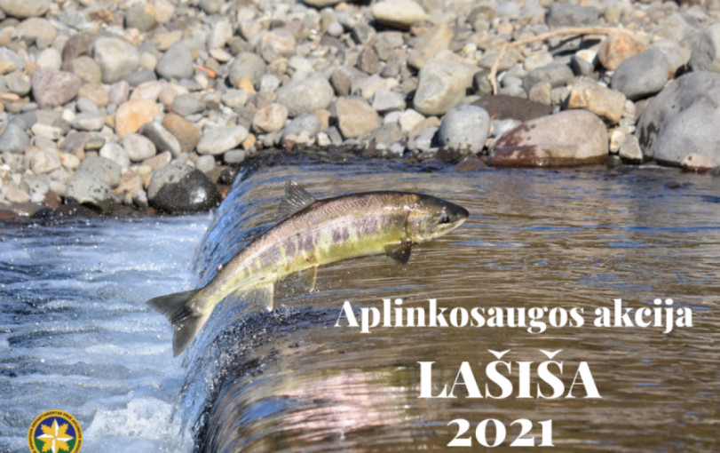 Rugsėjį prasidės tradicinė aplinkosauginė akcija „Lašiša 2021“