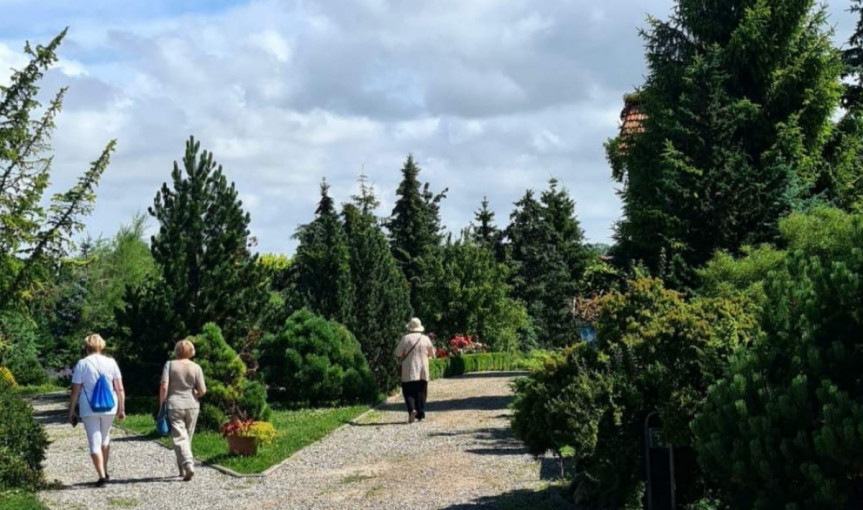 Tradicinis KU Botanikos sodo renginys sugrįžta: augalų apsuptyje atskleis amžinos jaunystės paslaptis