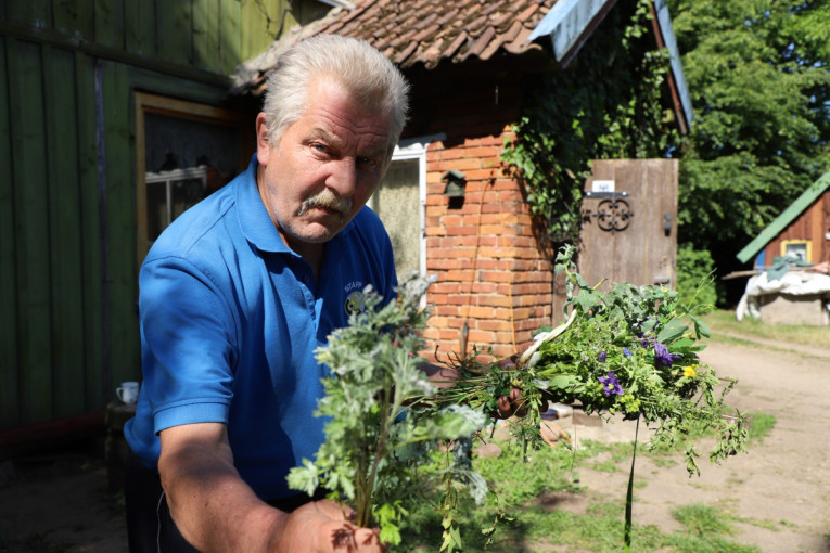 Šv. Jono išvakarės -  tinkamiausias laikas prisirinkti vaistinių žolynų visiems metams