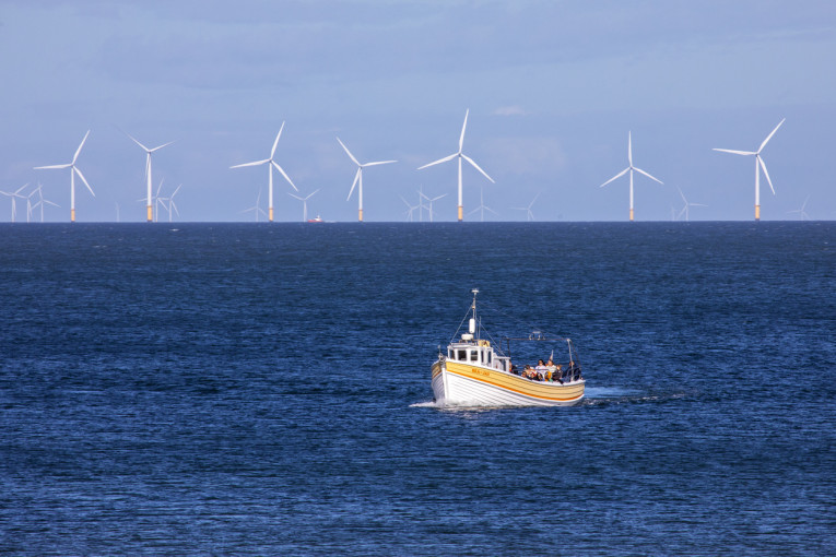 „Ignitis renewables“ pristatė jūrinio vėjo parko galimybes Lietuvos laivų savininkams