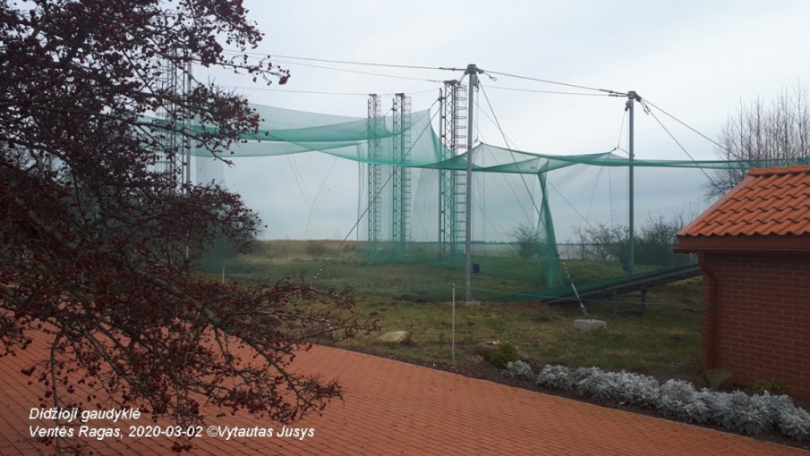 Ventėje iškelta didžiausia pasaulyje paukščių gaudyklė