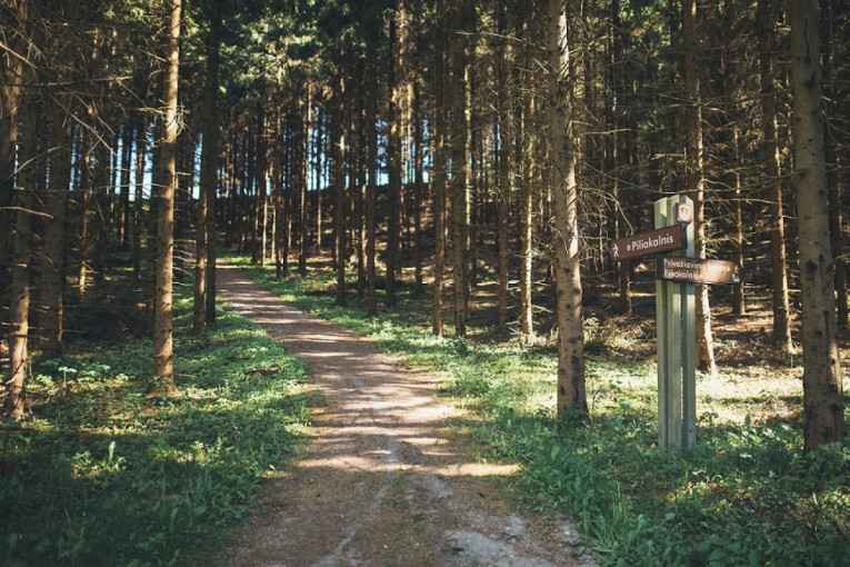 Leiskite laisvalaikį turiningai: 10 išskirtinių Kretingos rajono vietų poilsiui gamtoje