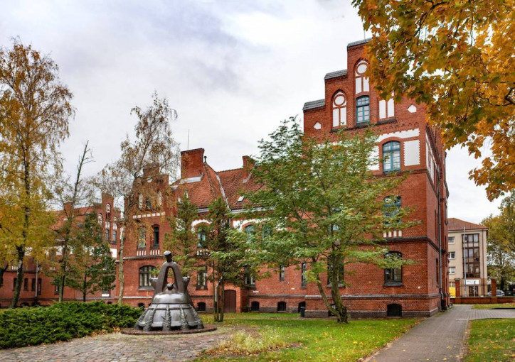 Dalyvauti Klaipėdos universiteto rektoriaus rinkimuose norą pareiškė du pretendentai