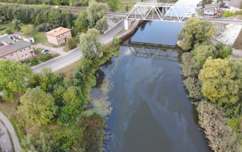 Taršos šaltinis Danėje nustatytas, aplinkosaugininkai tęsia tyrimą