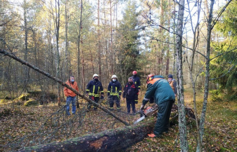 Neringoje vyko jungtinis projektas su kaimynine Rusija siekiant apsaugoti Kuršių nerijos kraštovaizdį