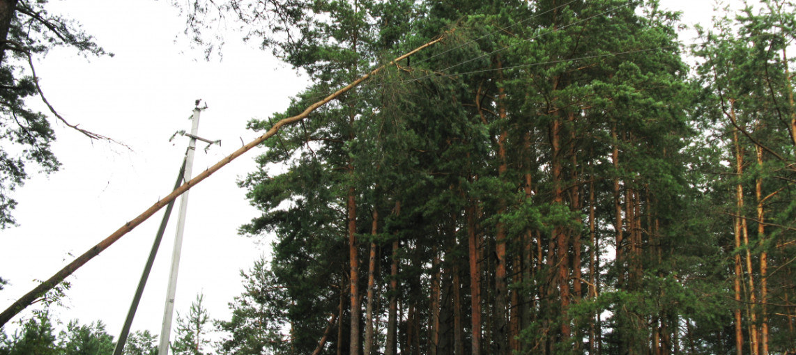 ESO paaiškino, kodėl elektros tiekimas buvo nutrūkęs 56 245 Klaipėdos ir Šiaulių vartotojams