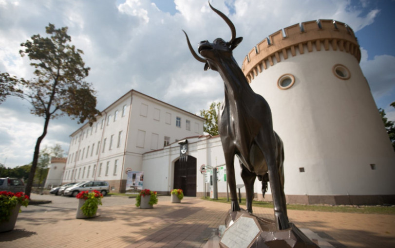 Išrinktos 2023, 2024 ir 2025 metų Lietuvos kultūros sostinės