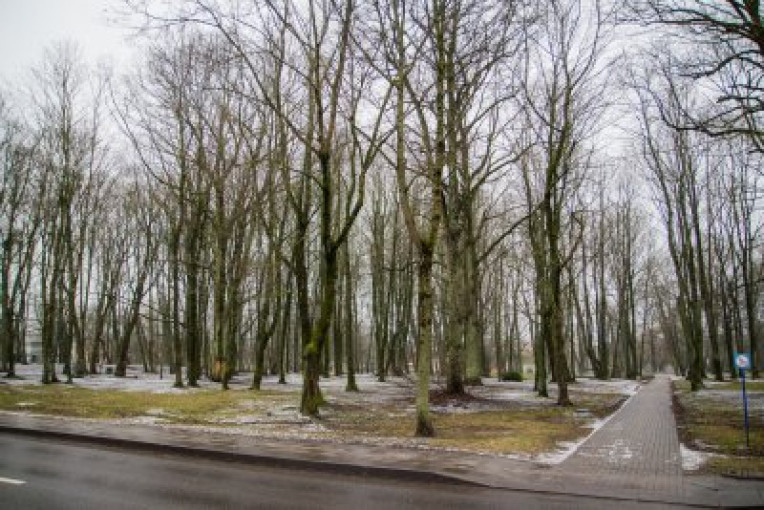 Pradės tvarkyti Klaipėdos Skulptūrų parką