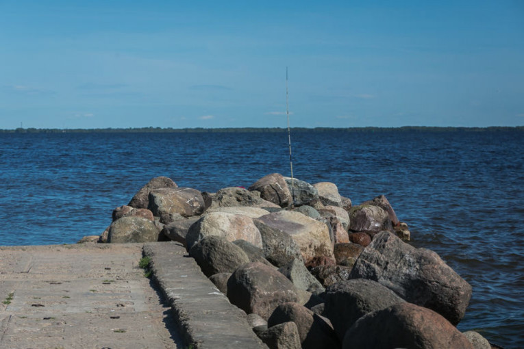 Seimo Aplinkos apsaugos komitete – parlamentinė kontrolė dėl kritinės Kuršių marių vandens būklės