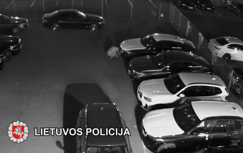 Teismui perduota byla dėl Klaipėdos apskr. iš automobilių BMW pavogtų detalių