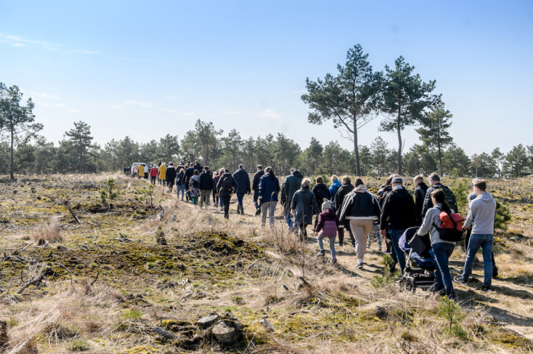 Smiltynėje keli šimtai savanorių pasodino 32 tūkst. medelių