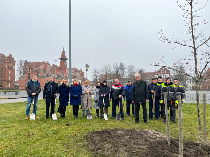 KU 30-mečio jubiliejų primins bendruomenės pasodintas ąžuolas