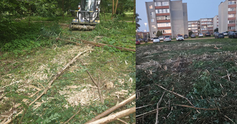 Klaipėdos meras: „Gyventojų interesai aukščiau už uosto plėtrą po jų langais“