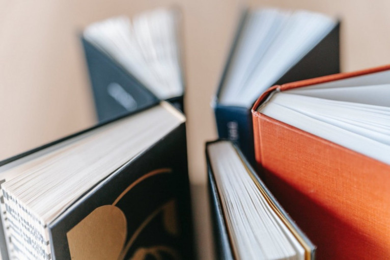 Po Klaipėdos rajoną kursuos bibliobusas