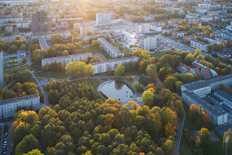 Klaipėdos Ąžuolų giraitė sulaukė tarptautinio pripažinimo