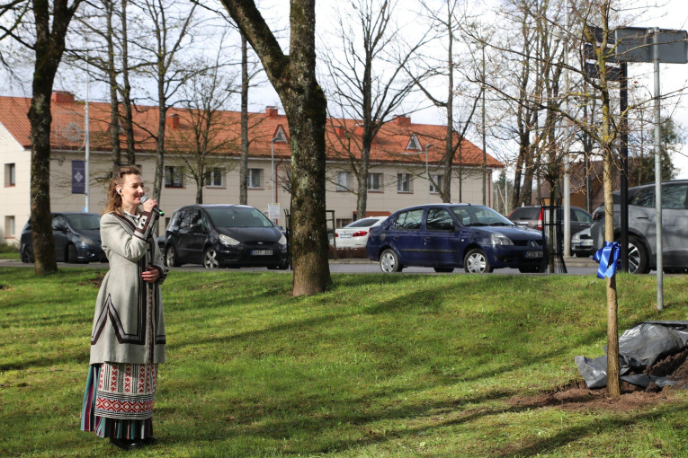 Gargžduose pasodintas Dainų šventės 100-mečio ąžuolas