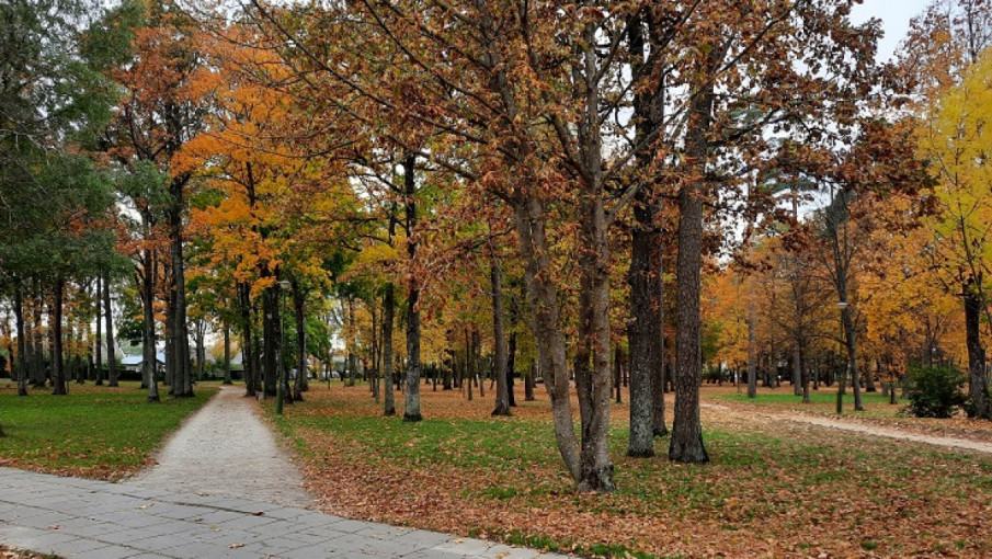 Kretingos senojo parko tvarkymui skirtas Ekonomikos ir inovacijų ministerijos finansavimas