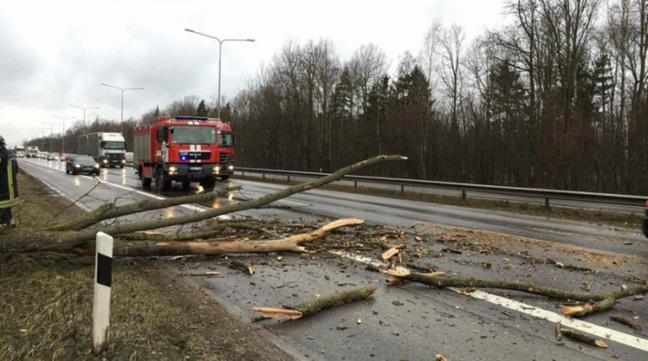 Stipriausia per visą dešimtmetį audra pridarė nuostolių