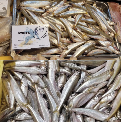 Naujajame turguje pasirodė pirmosios šio sezono stintos