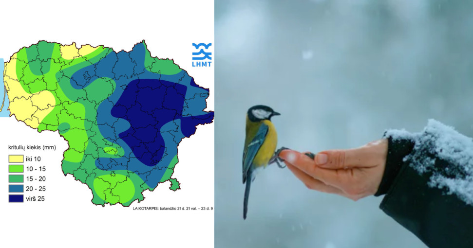 Vos per 1,5 paros iškrito maždaug apie trijų savaičių kritulių kiekis