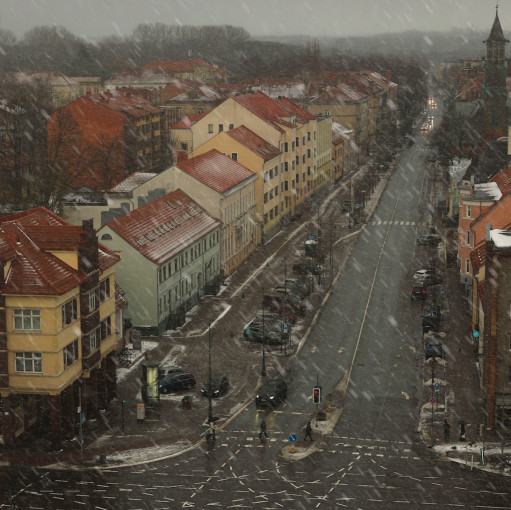 Artimiausių dienų orų prognozė