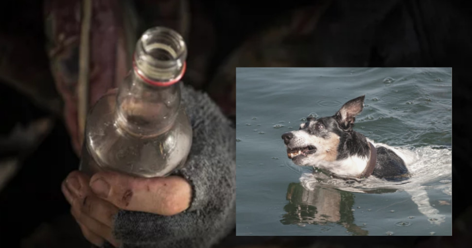 Gargžduose už butelį degtinės užmušė šunį
