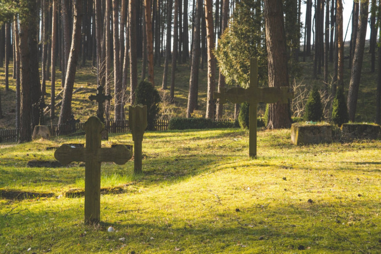 Kuršių nerijos nacionalinis parkas rekomenduoja nuostabių vaizdų kupiną maršrutą pasivaikščiojimams