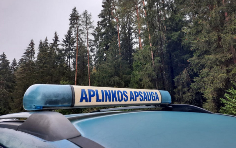 Iš kilpos išlaisvinę stirniną, netrukus aplinkosaugininkai rado ir brakonierių