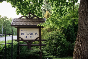 Klaipėdoje minimos karalienės Luizės 250-osios gimimo metinės: istorija atsivers ir žmonėms su negalia