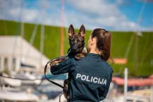 Pradėti tarnybą Klaipėdoje rengiasi keturkojė pareigūnė Nora