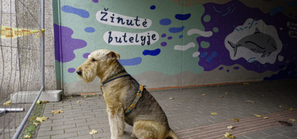 Po Pilies tiltu – neįprastas susitikimas: klaipėdiečiams prabils Baltijos jūros gyventojai