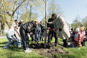 Klaipėdoje pasodinti tulpmedžiai – „Femina Bona“ kvietė bendruomenę į socialinę iniciatyvą