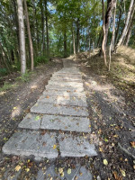 Giruliuose atnaujinami „Miško laiptai“